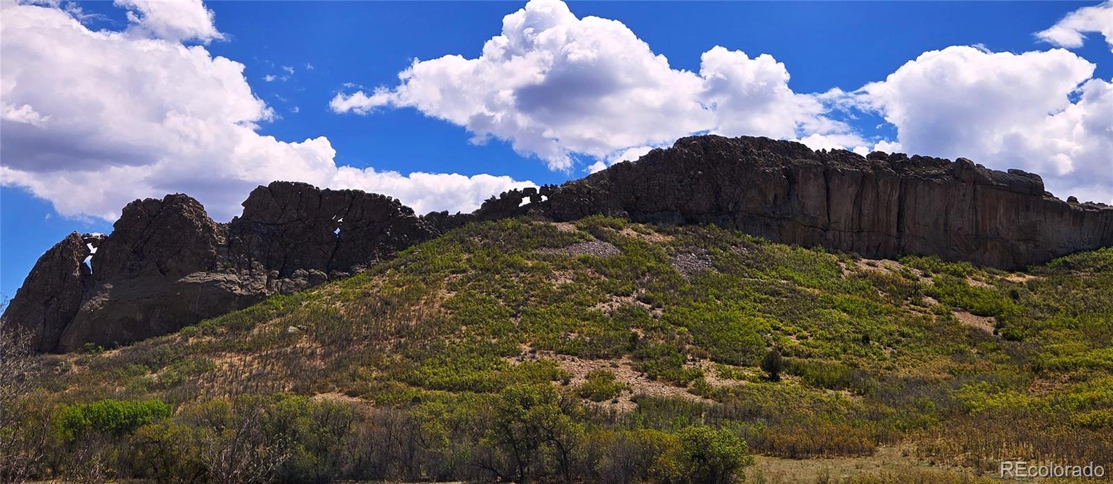 25 Cottonwood Trail La Veta CO 81055