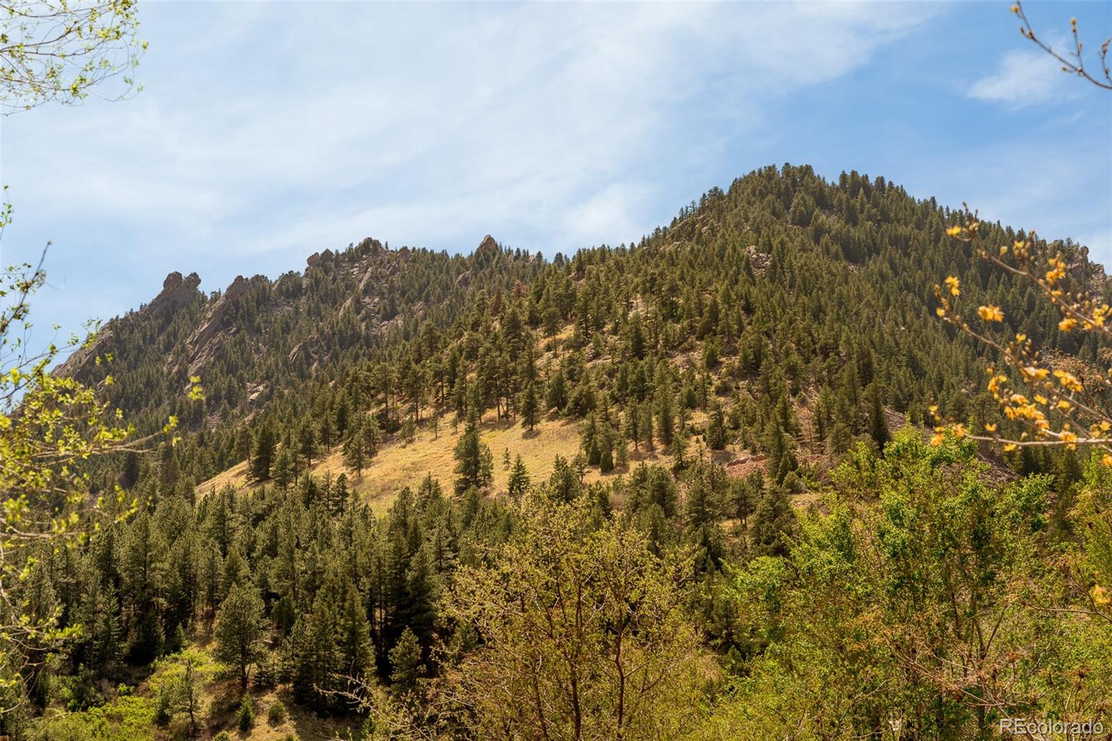 186 Baldwin Circle Eldorado Springs CO 80025