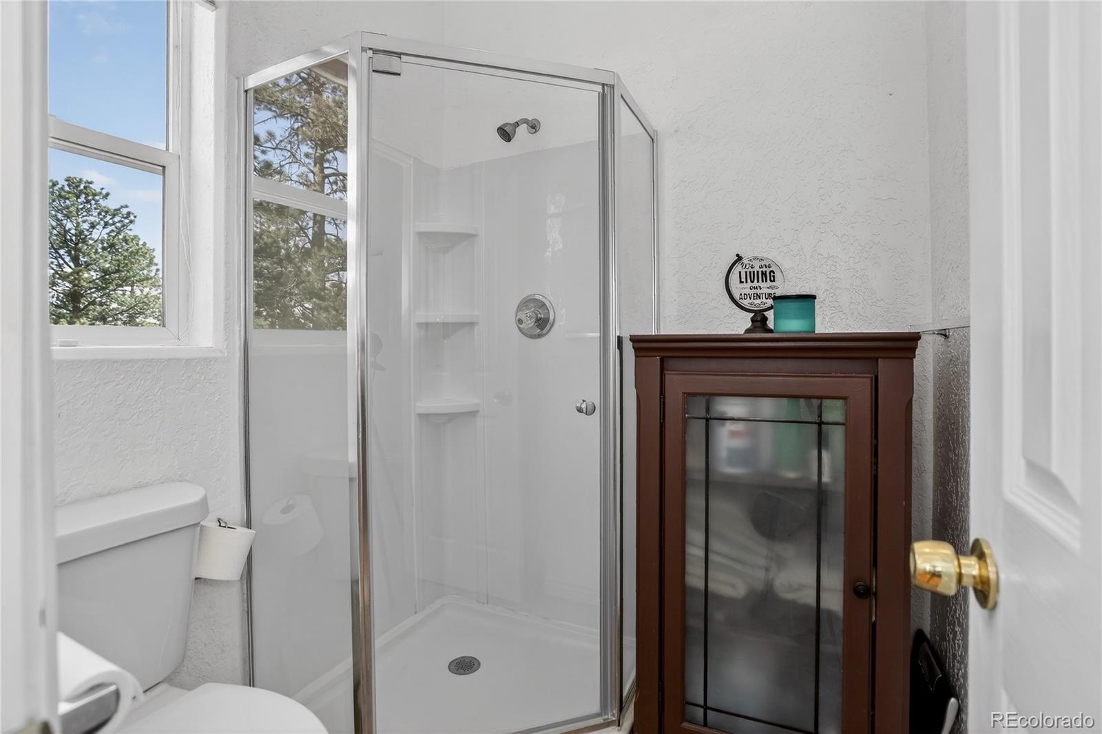 104 Pinon Road Bailey CO 80421