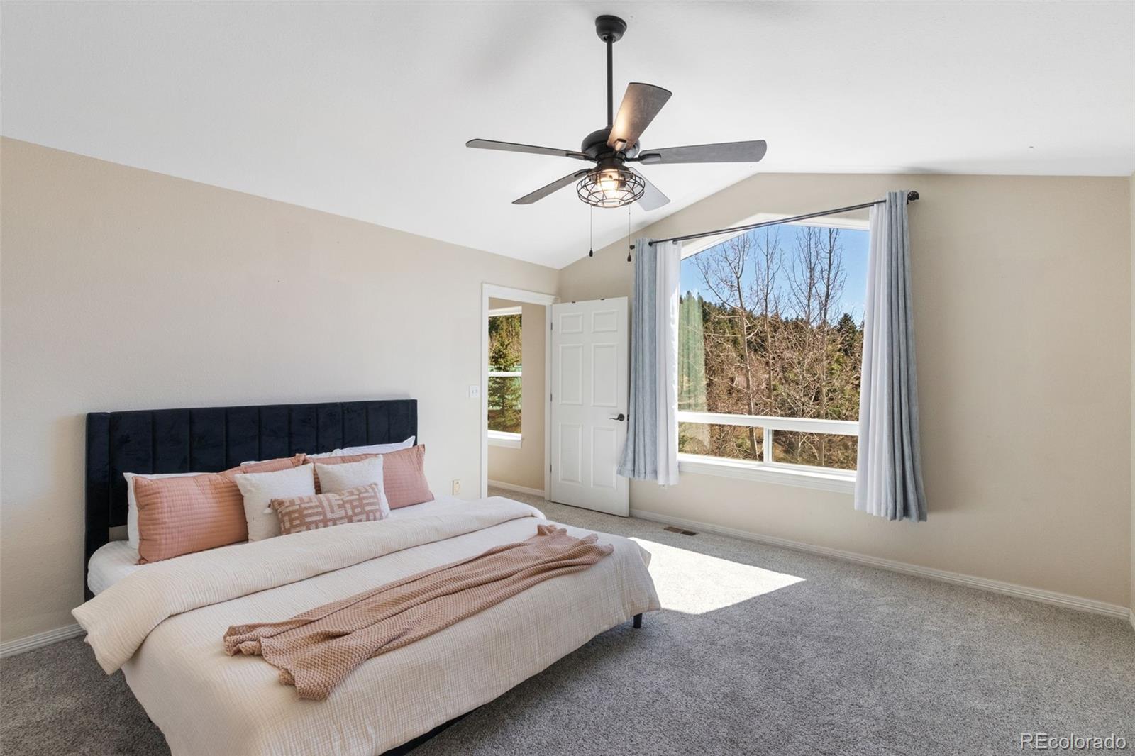 120 Red Clover Court Woodland Park CO 80863