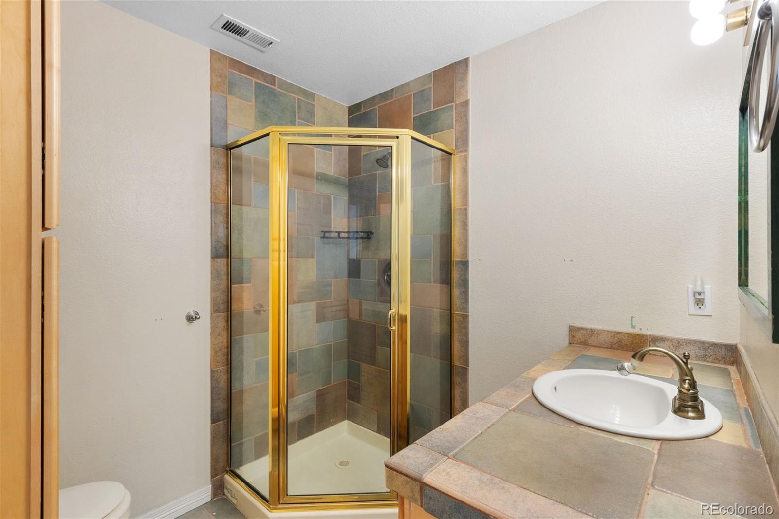 120 Red Clover Court Woodland Park CO 80863