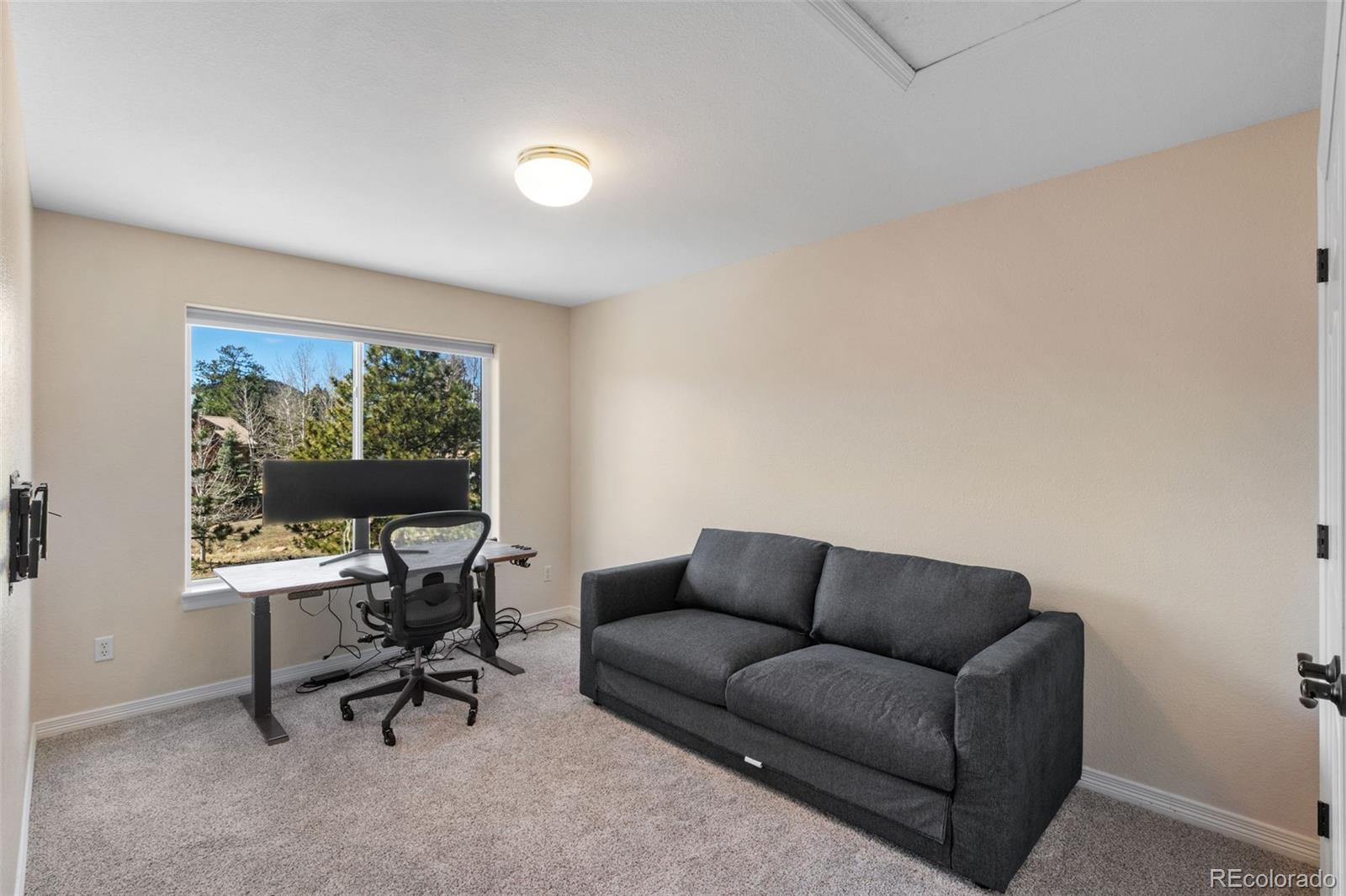 120 Red Clover Court Woodland Park CO 80863