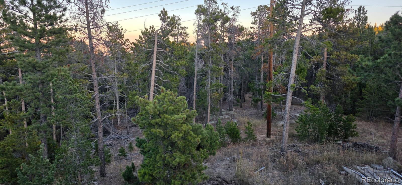 87 Circle Road Golden CO 80403