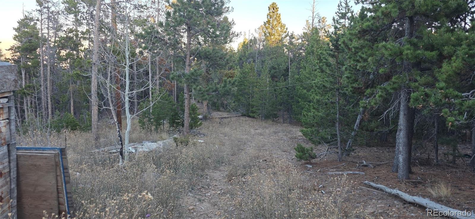 87 Circle Road Golden CO 80403