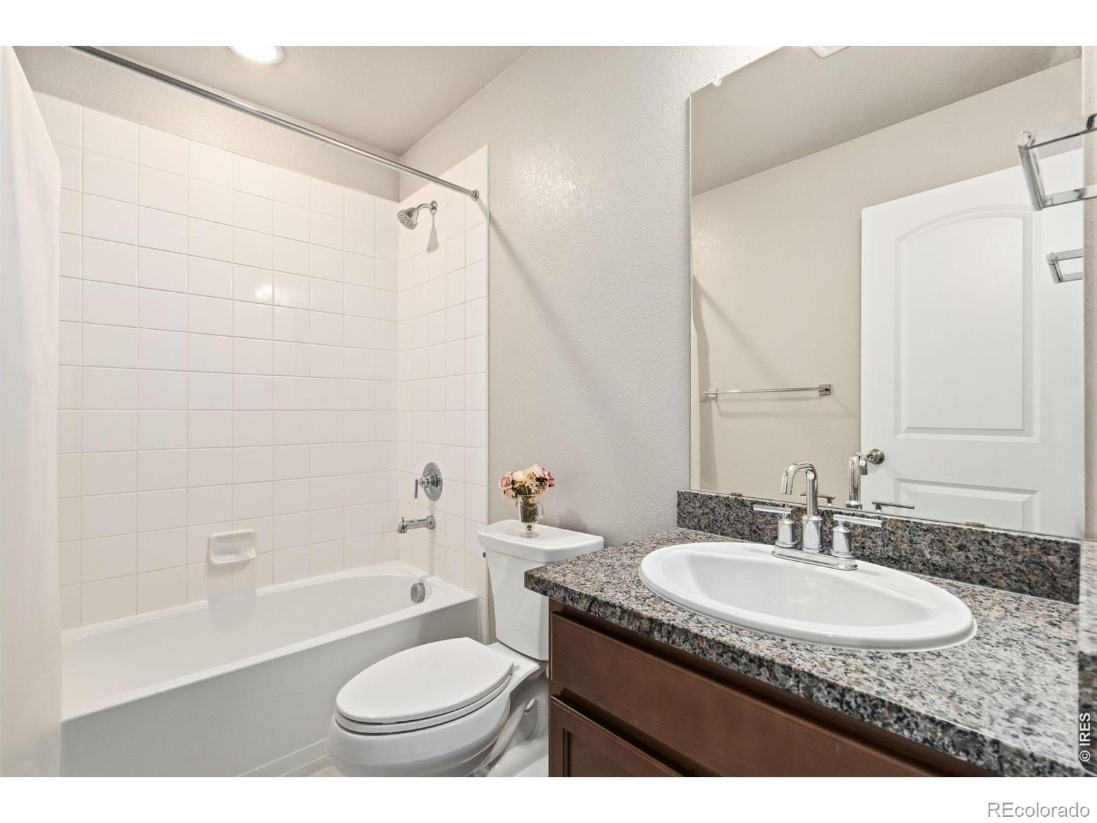 4420 Lyceum Court Timnath CO 80547