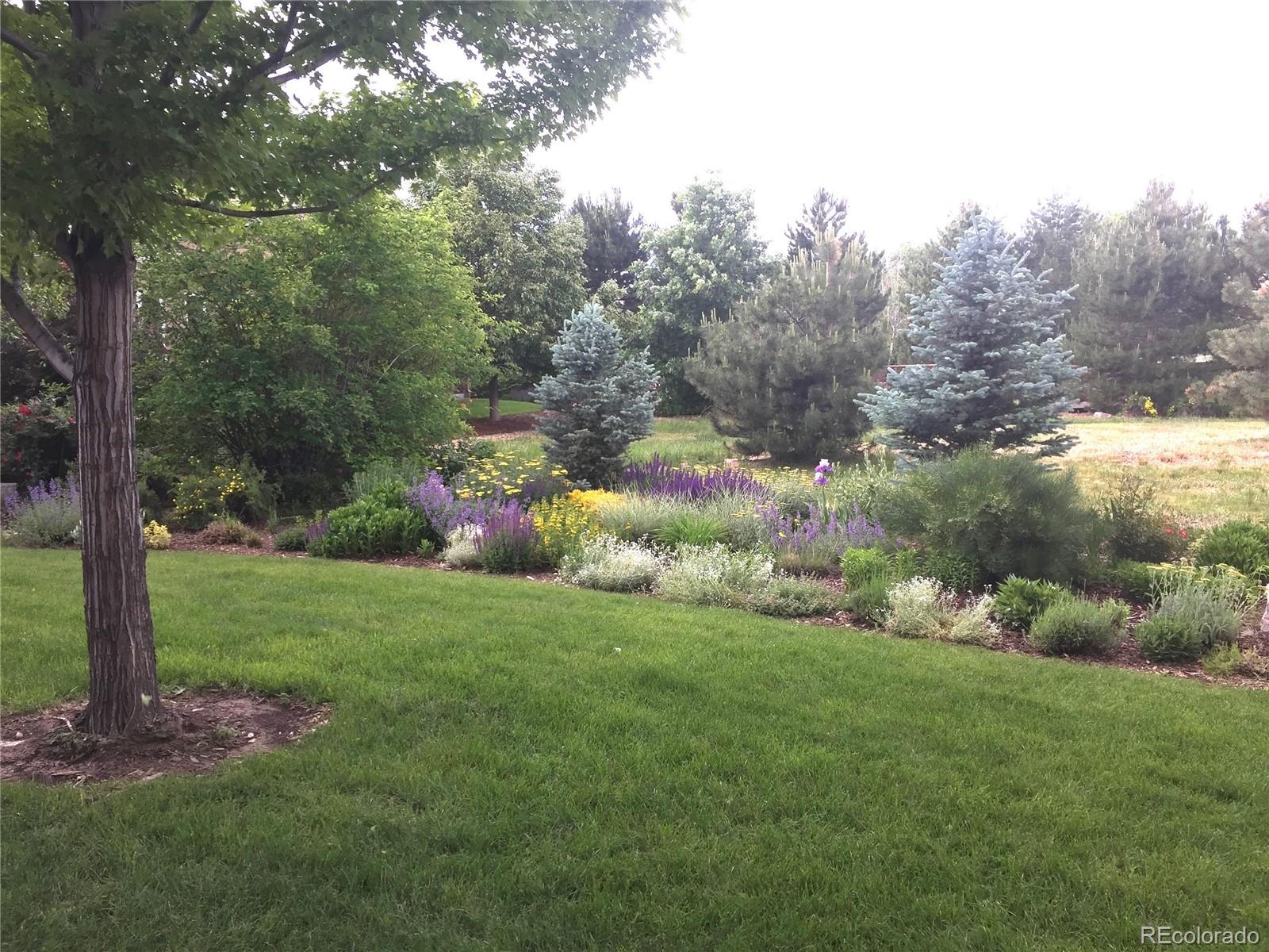 6569 S Blackhawk Way Aurora CO 80016