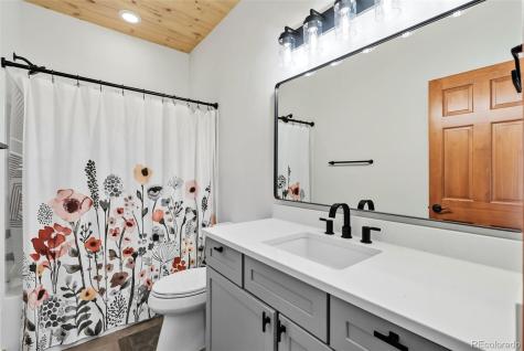 845 Elk Run Road Silverthorne CO 80498