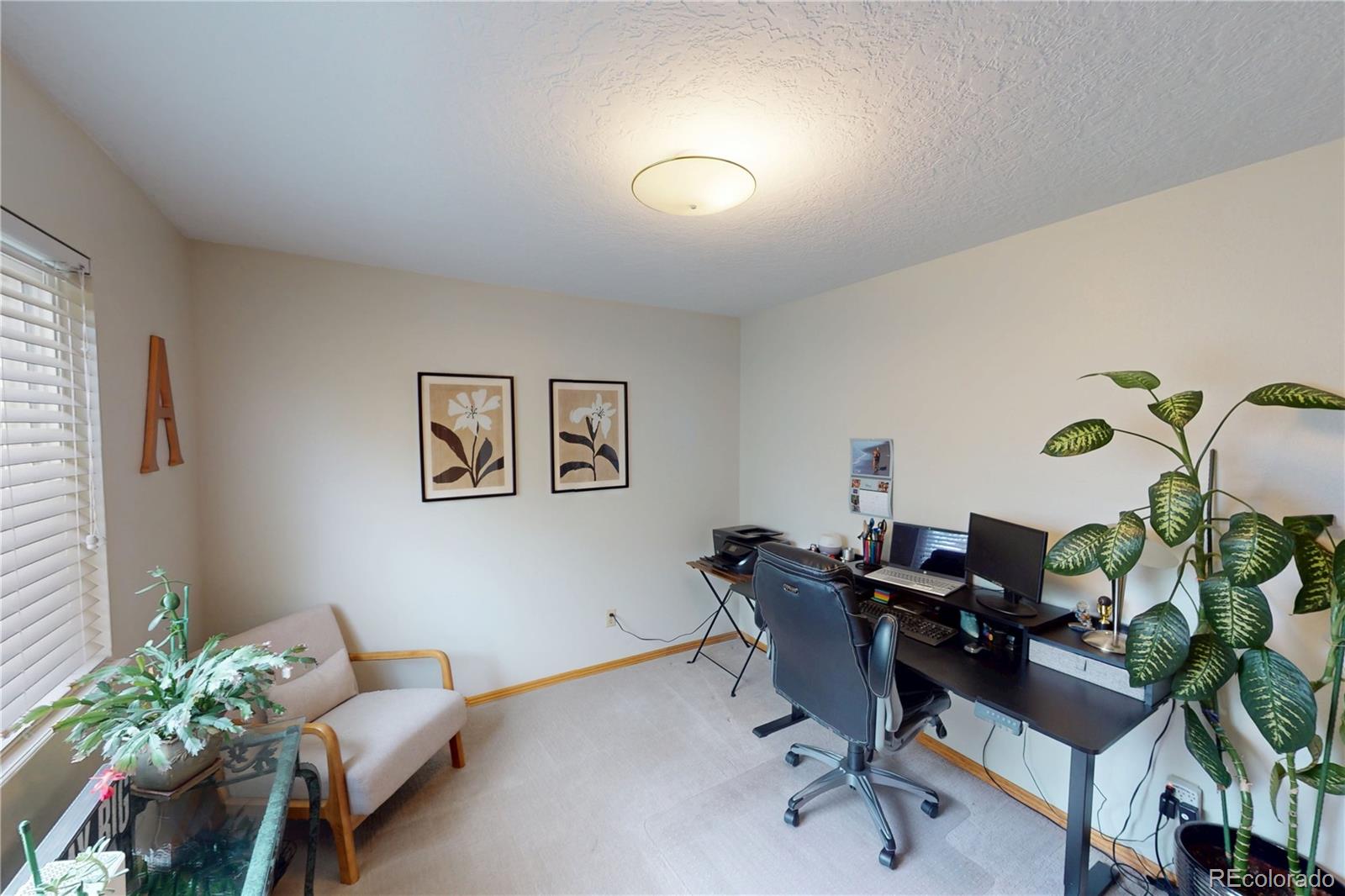 717 Shipman Mountain Court Windsor CO 80550