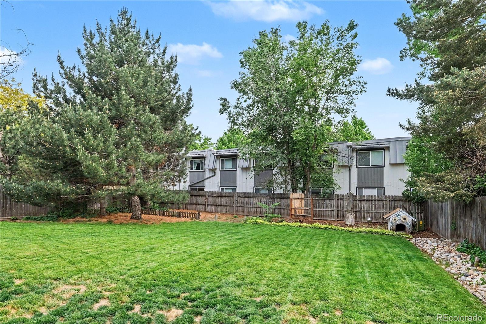 717 Shipman Mountain Court Windsor CO 80550