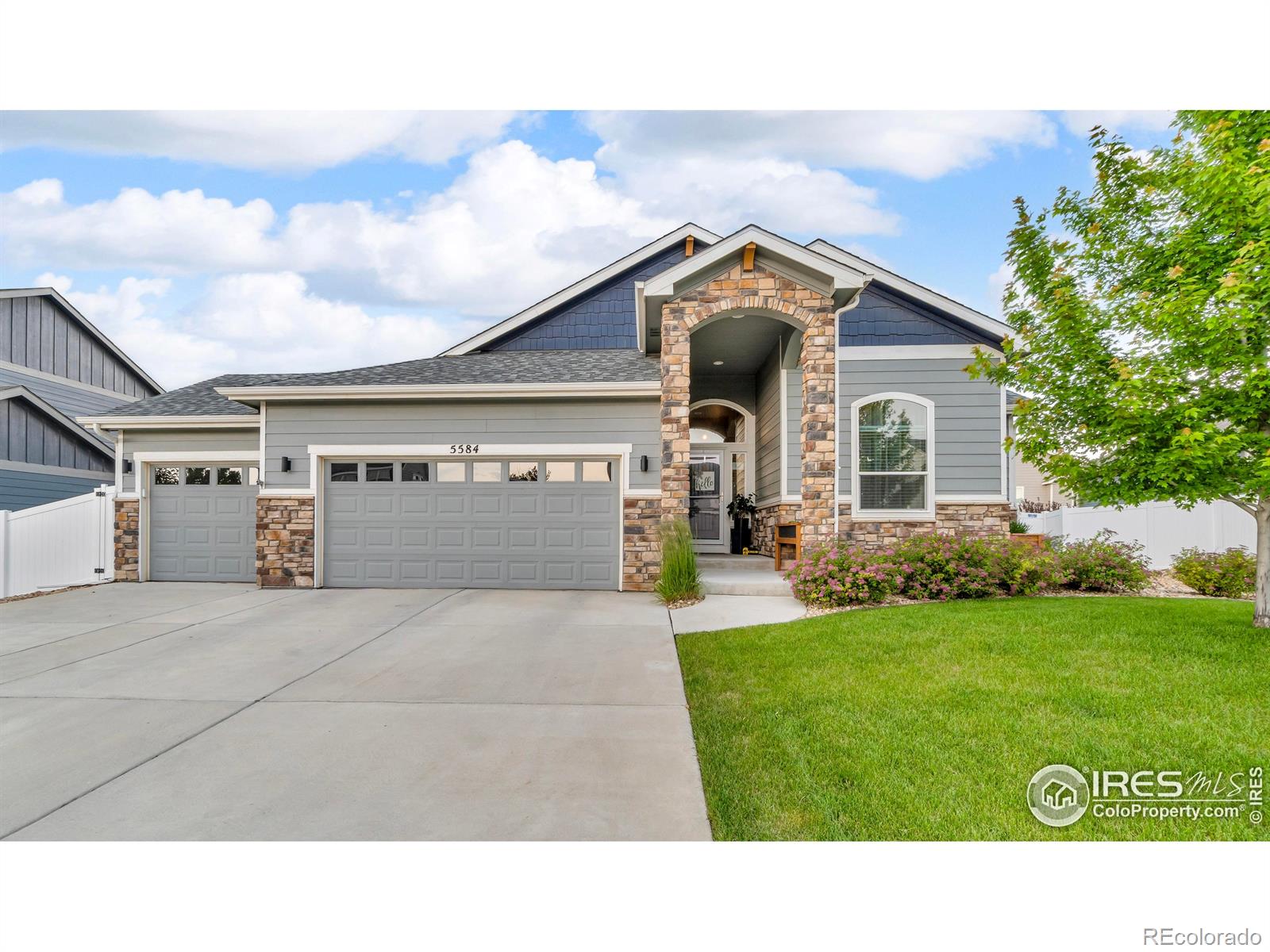 5584 Chantry Drive Windsor CO 80550