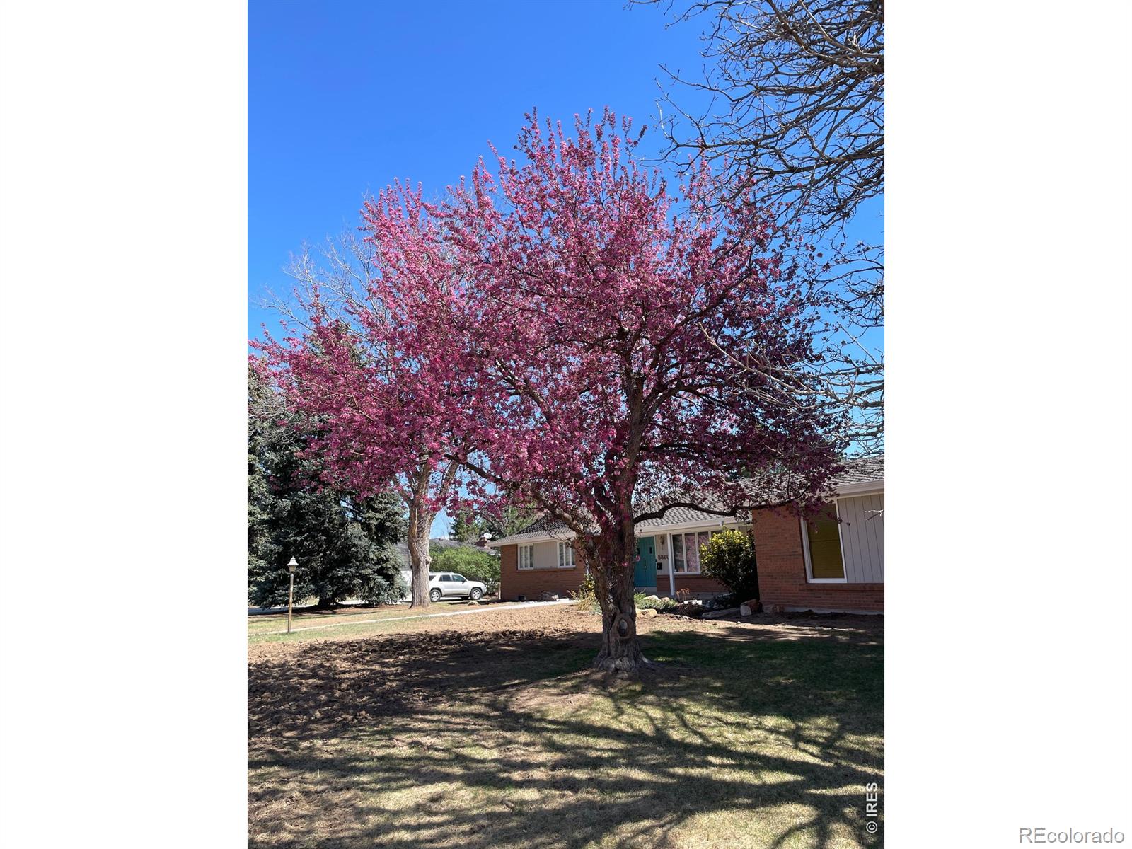 5860 Wood Sorrel Drive Littleton CO 80123