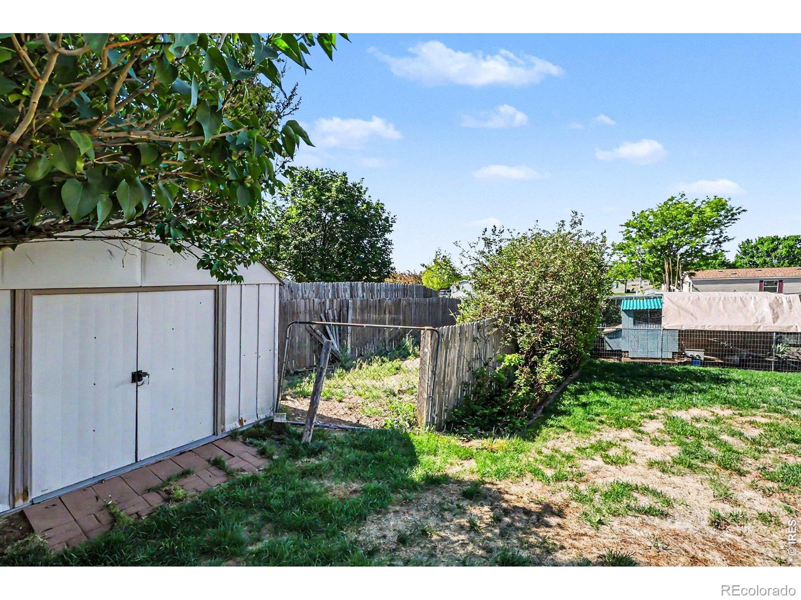 3220 Red Tail Way Evans CO 80620