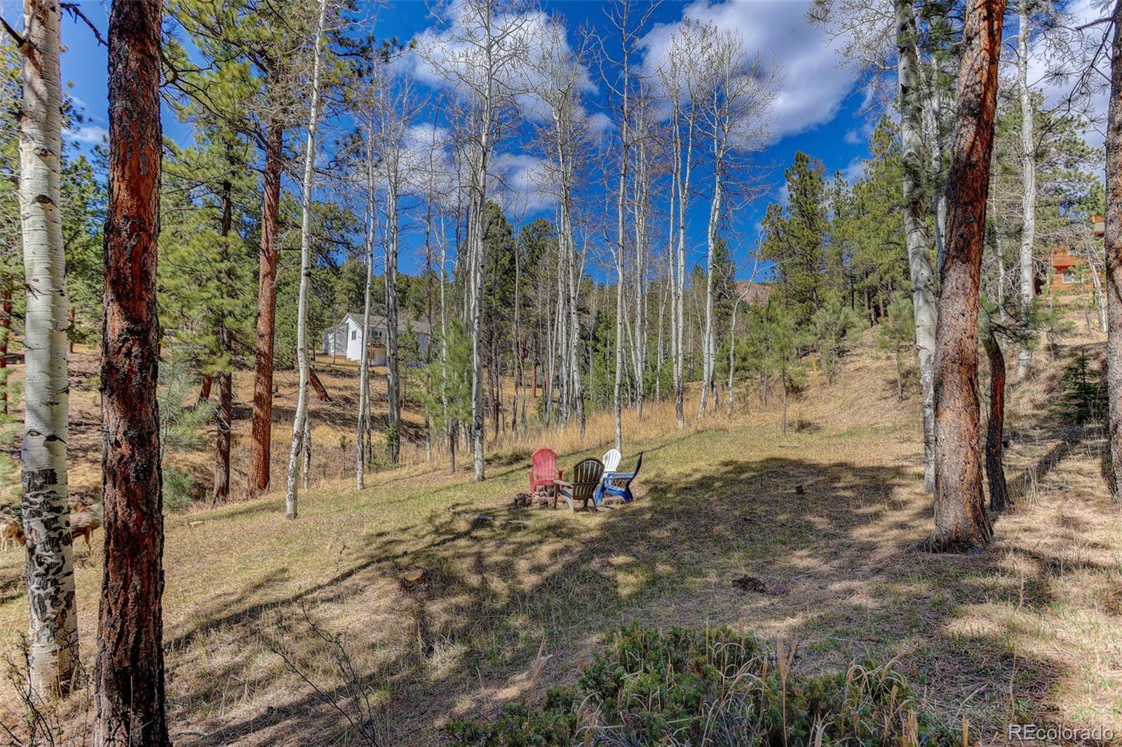 34144 Rock Creek Road Pine CO 80470