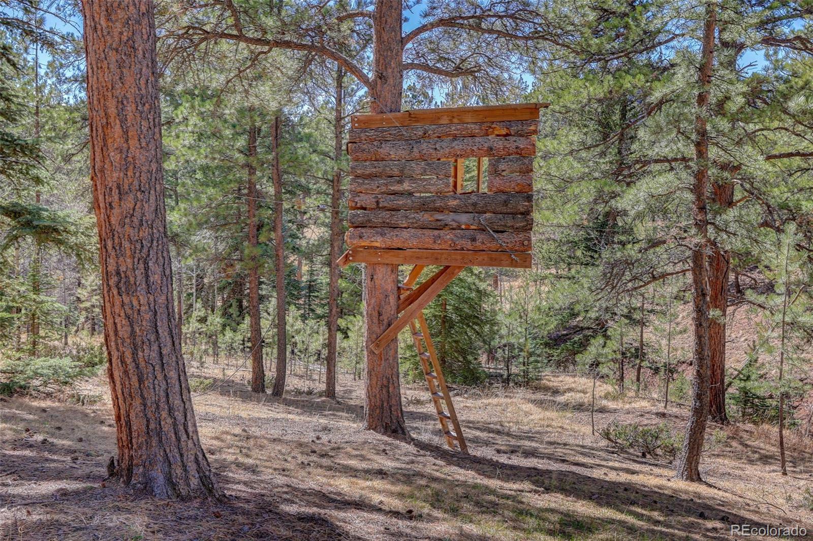 34144 Rock Creek Road Pine CO 80470