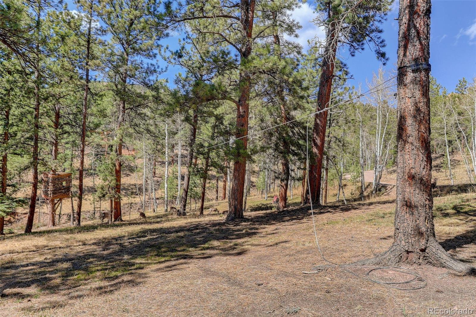 34144 Rock Creek Road Pine CO 80470