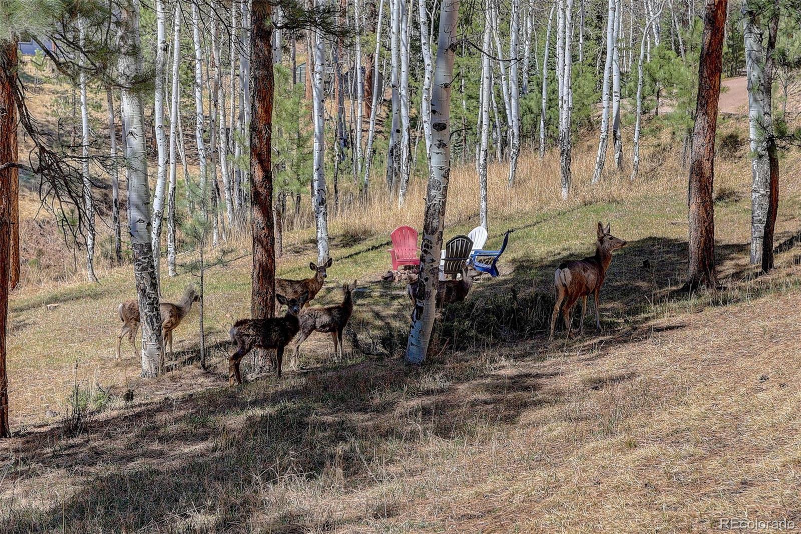 34144 Rock Creek Road Pine CO 80470