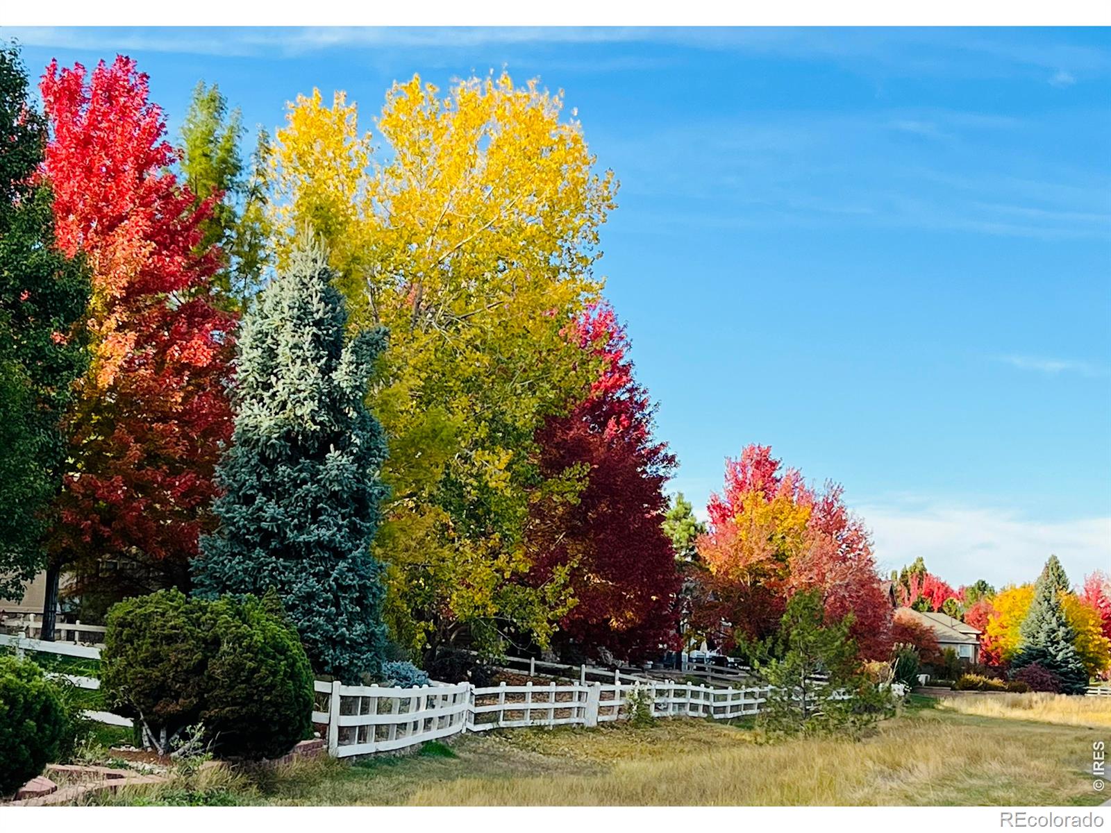 14090 Turnberry Court Broomfield CO 80023