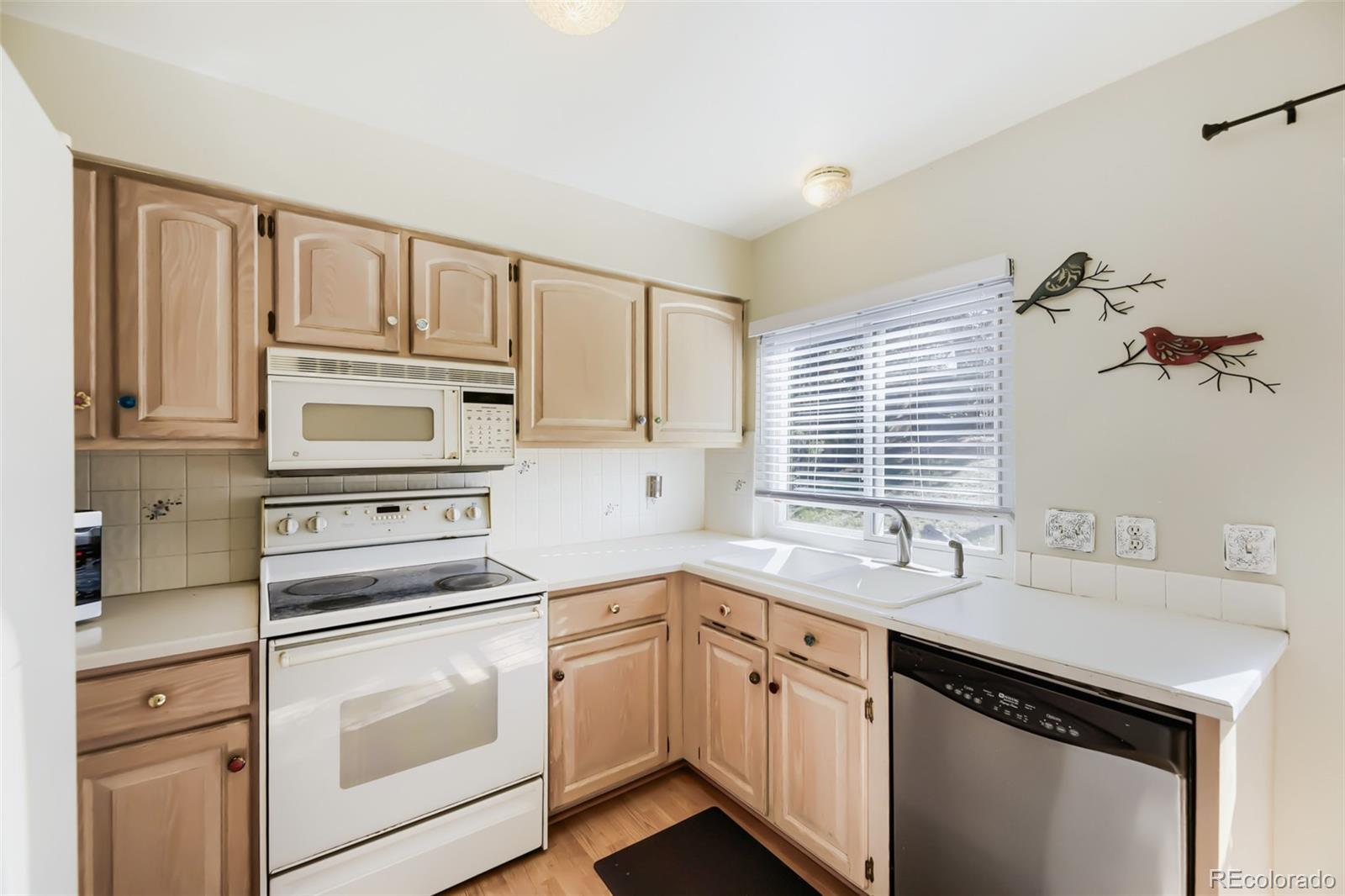 3669 S Joplin Street Aurora CO 80013