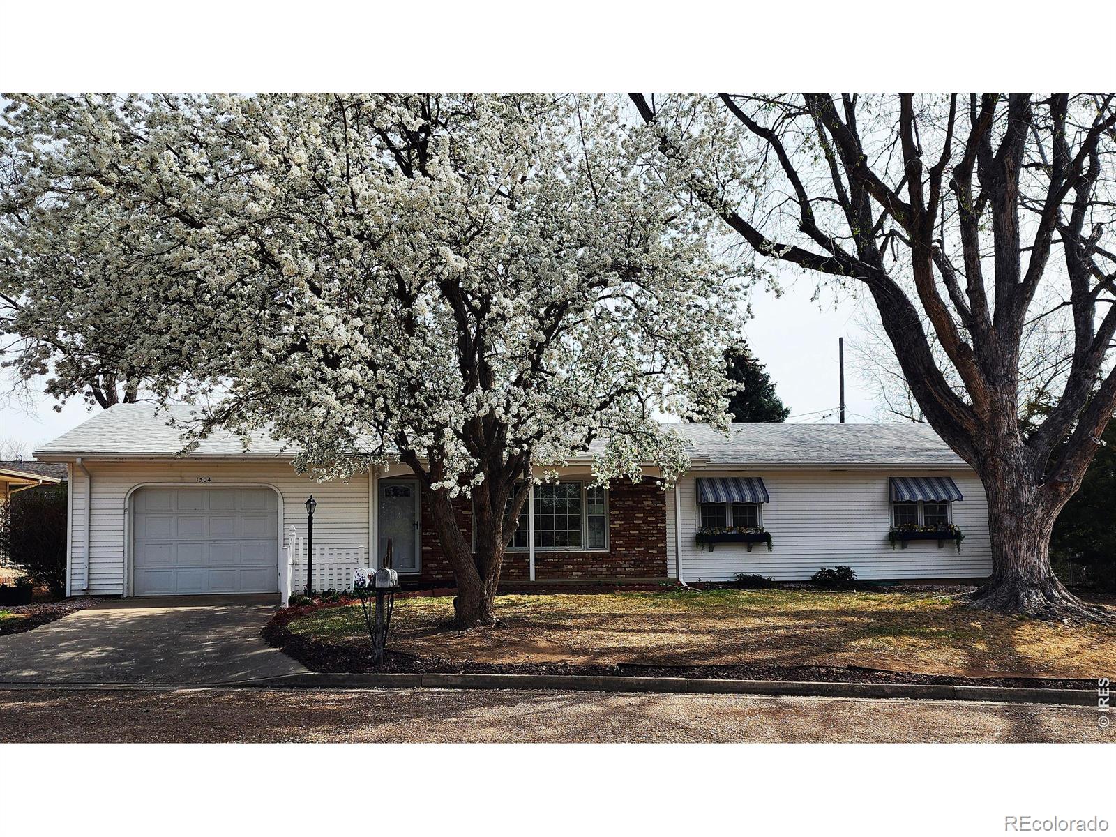 1304 Elm Avenue Loveland CO 80537