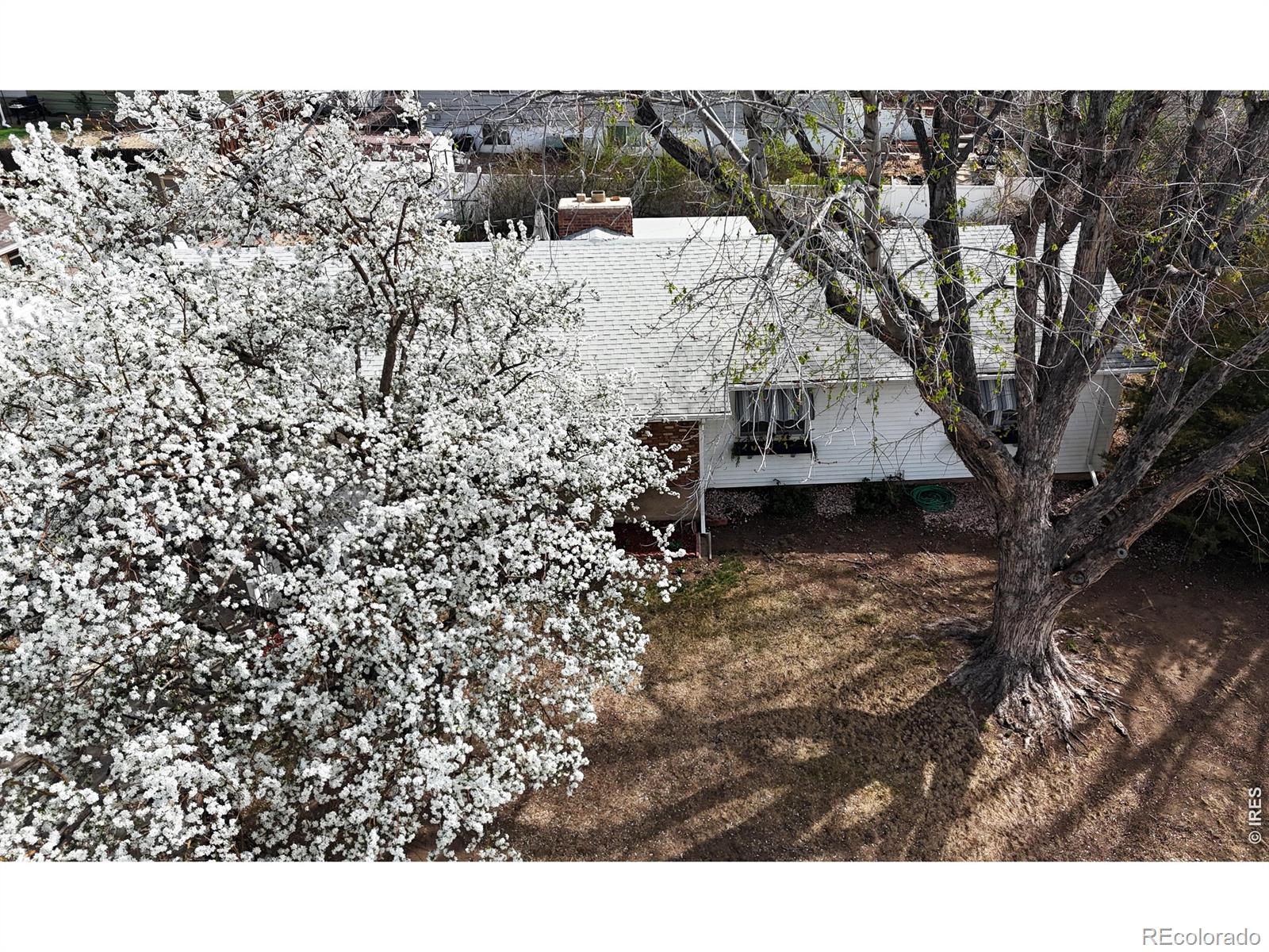 1304 Elm Avenue Loveland CO 80537