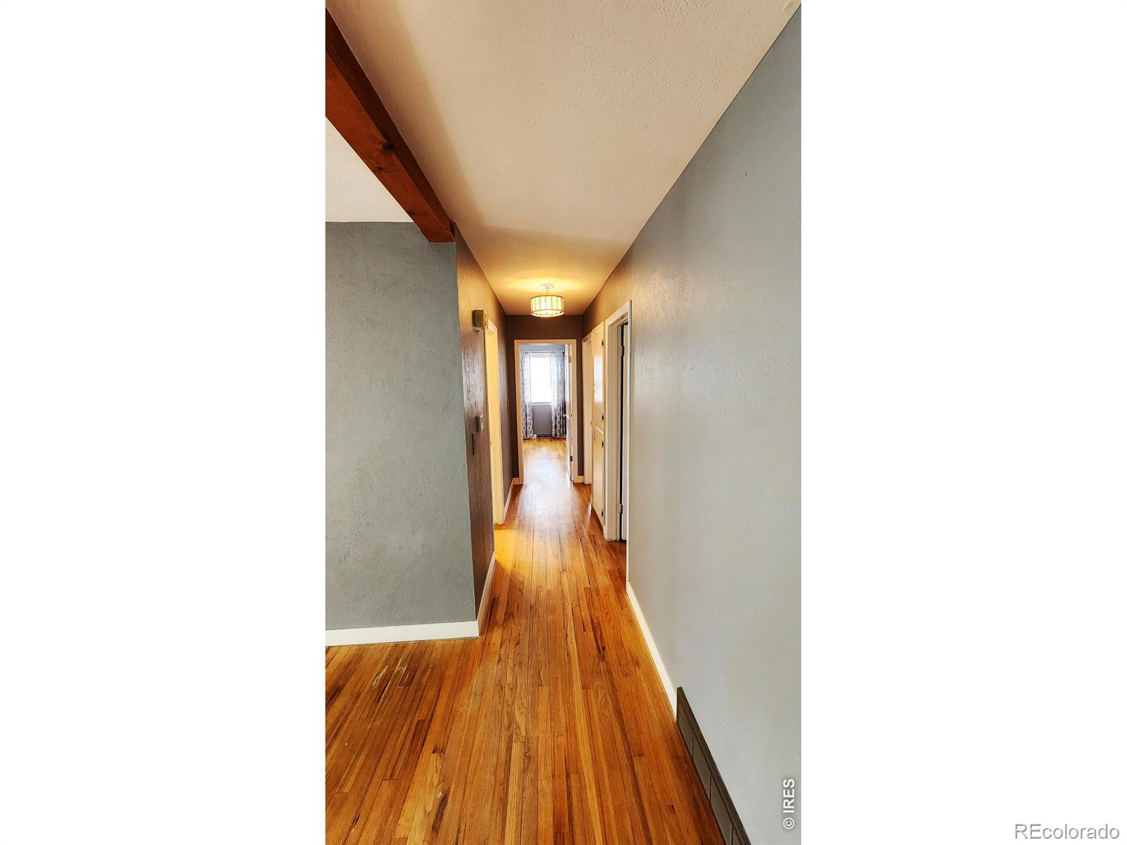 1304 Elm Avenue Loveland CO 80537