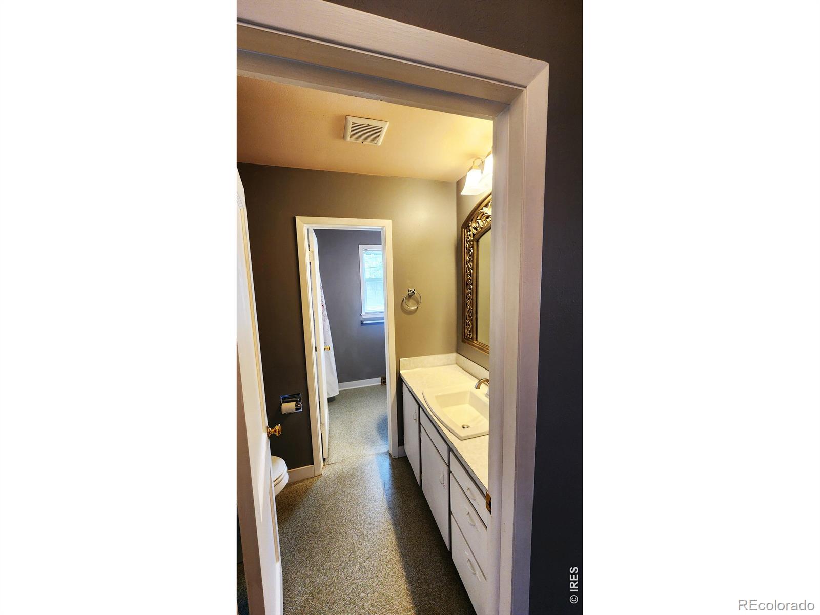 1304 Elm Avenue Loveland CO 80537