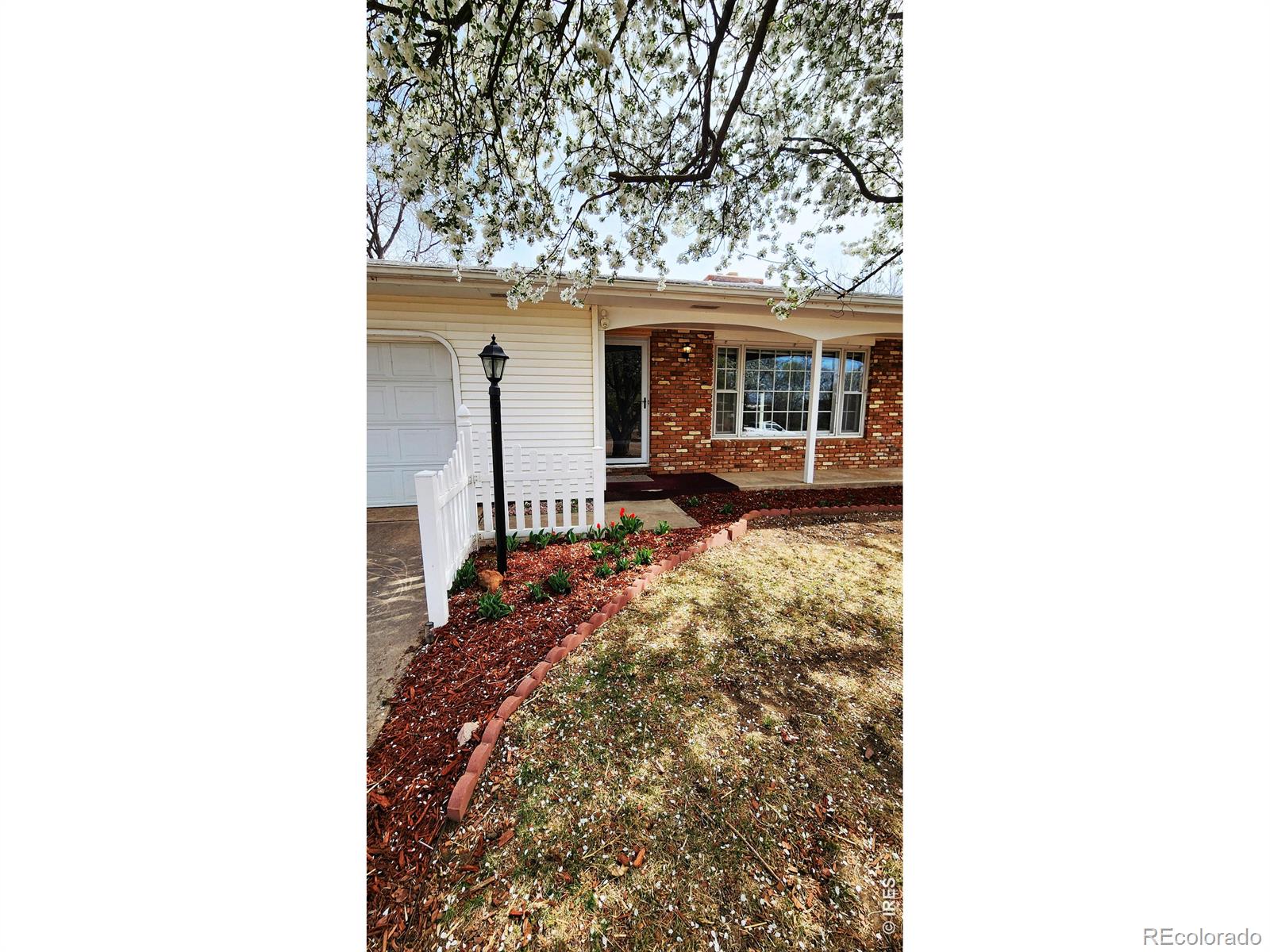 1304 Elm Avenue Loveland CO 80537