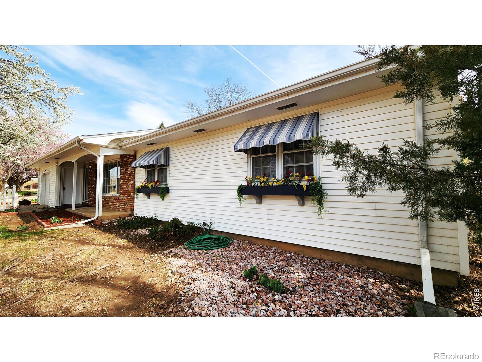 1304 Elm Avenue Loveland CO 80537