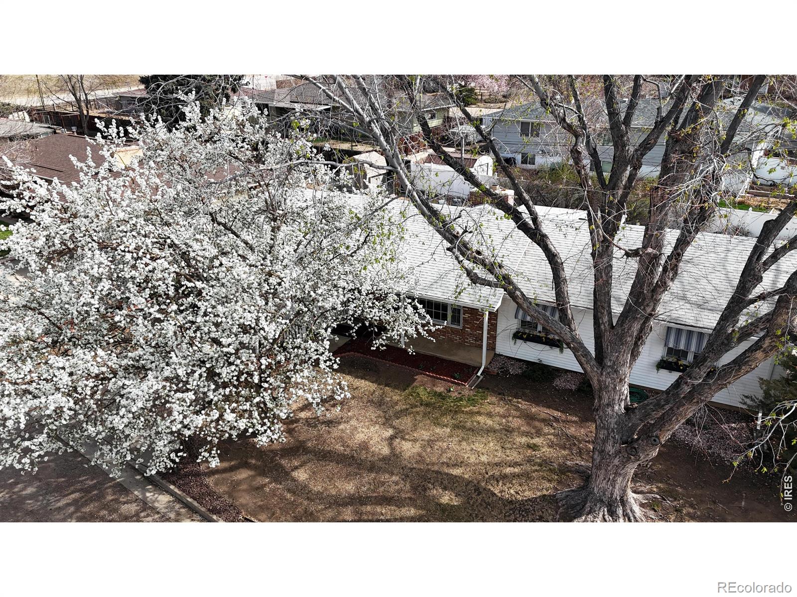 1304 Elm Avenue Loveland CO 80537