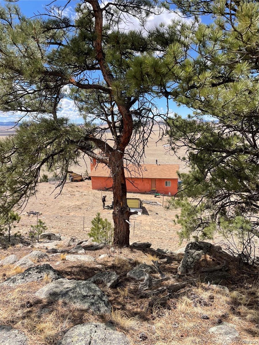 2030 Puma Hills Road Lake George CO 80827