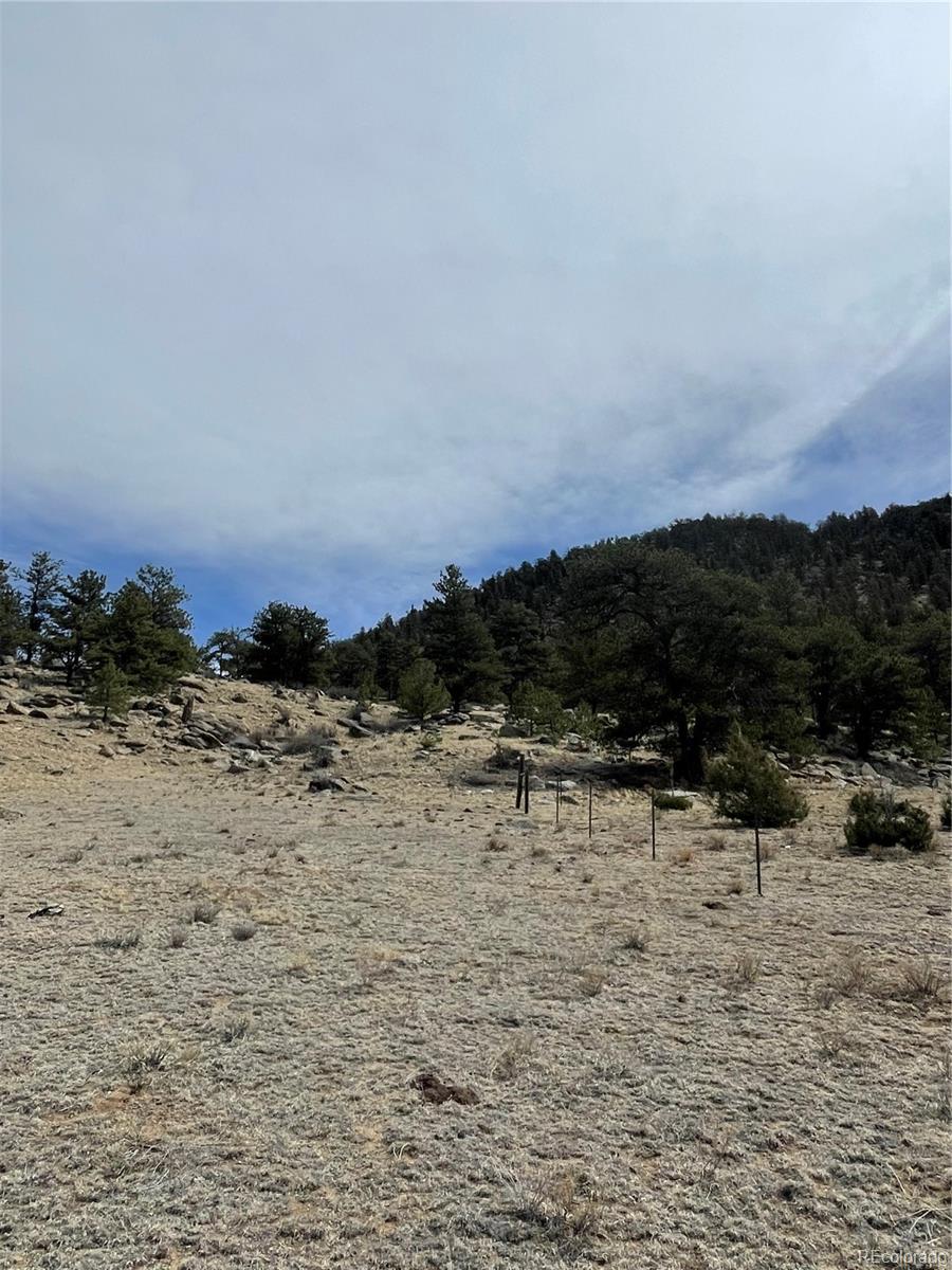 2030 Puma Hills Road Lake George CO 80827