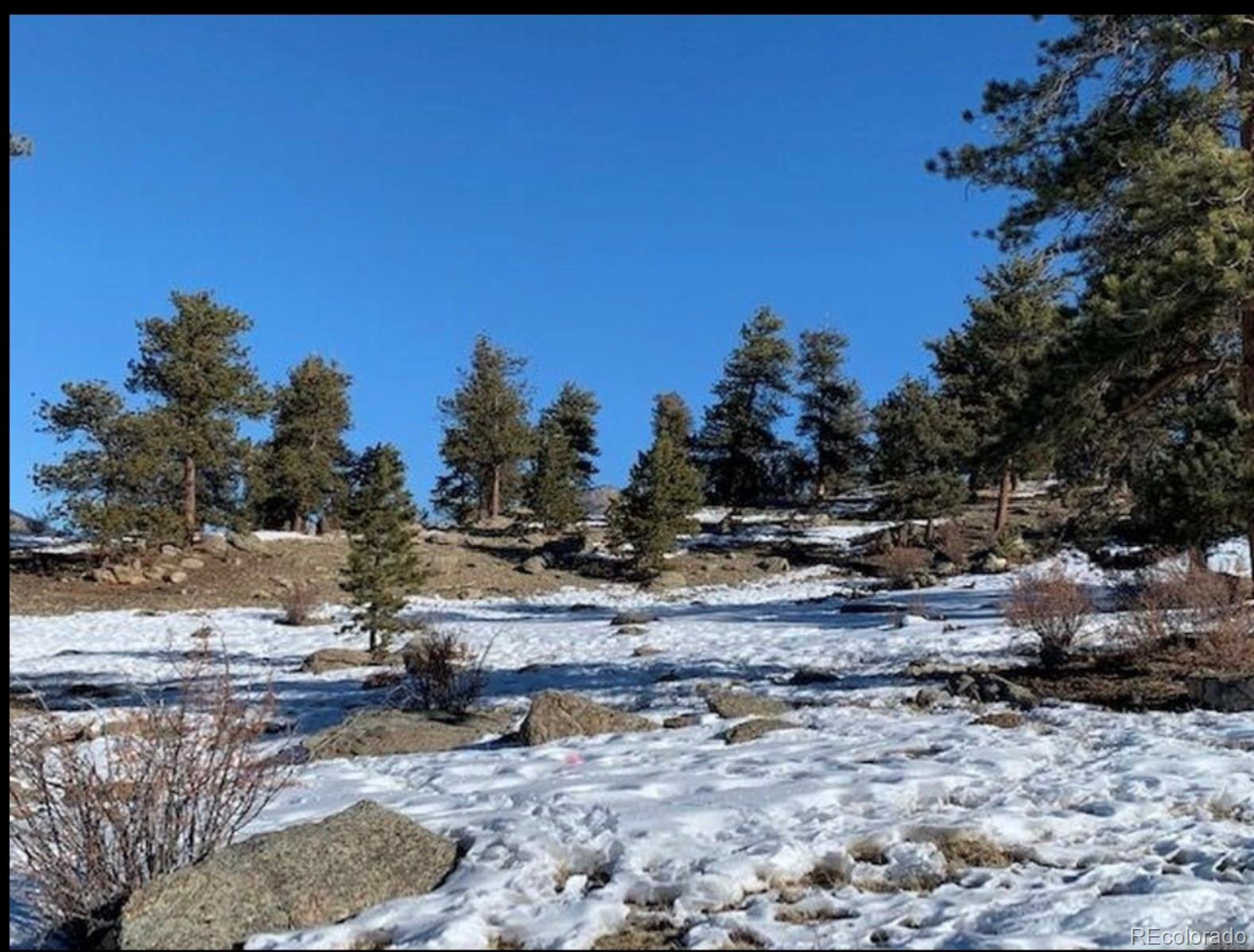 2030 Puma Hills Road Lake George CO 80827