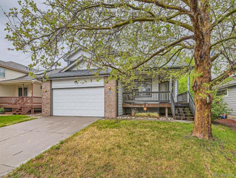 11851 Elm Drive Thornton CO 80233