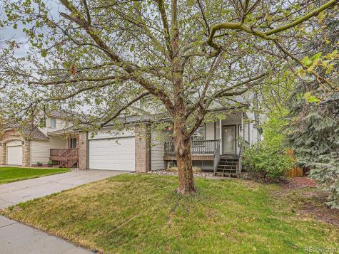 11851 Elm Drive Thornton CO 80233