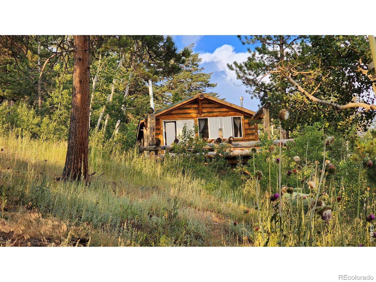 7026 Storm Mountain Drive Drake CO 80515
