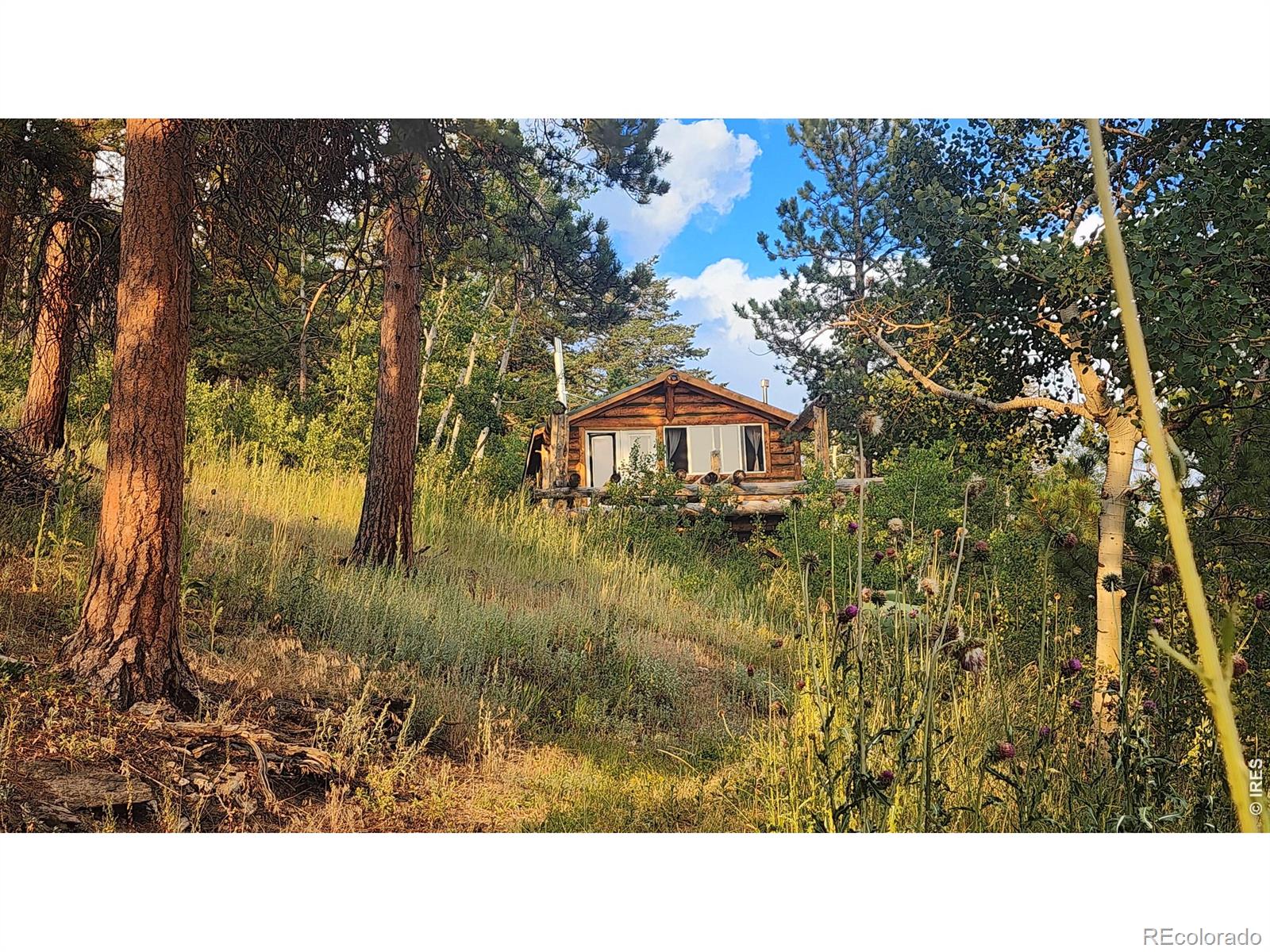 7026 Storm Mountain Drive Drake CO 80515