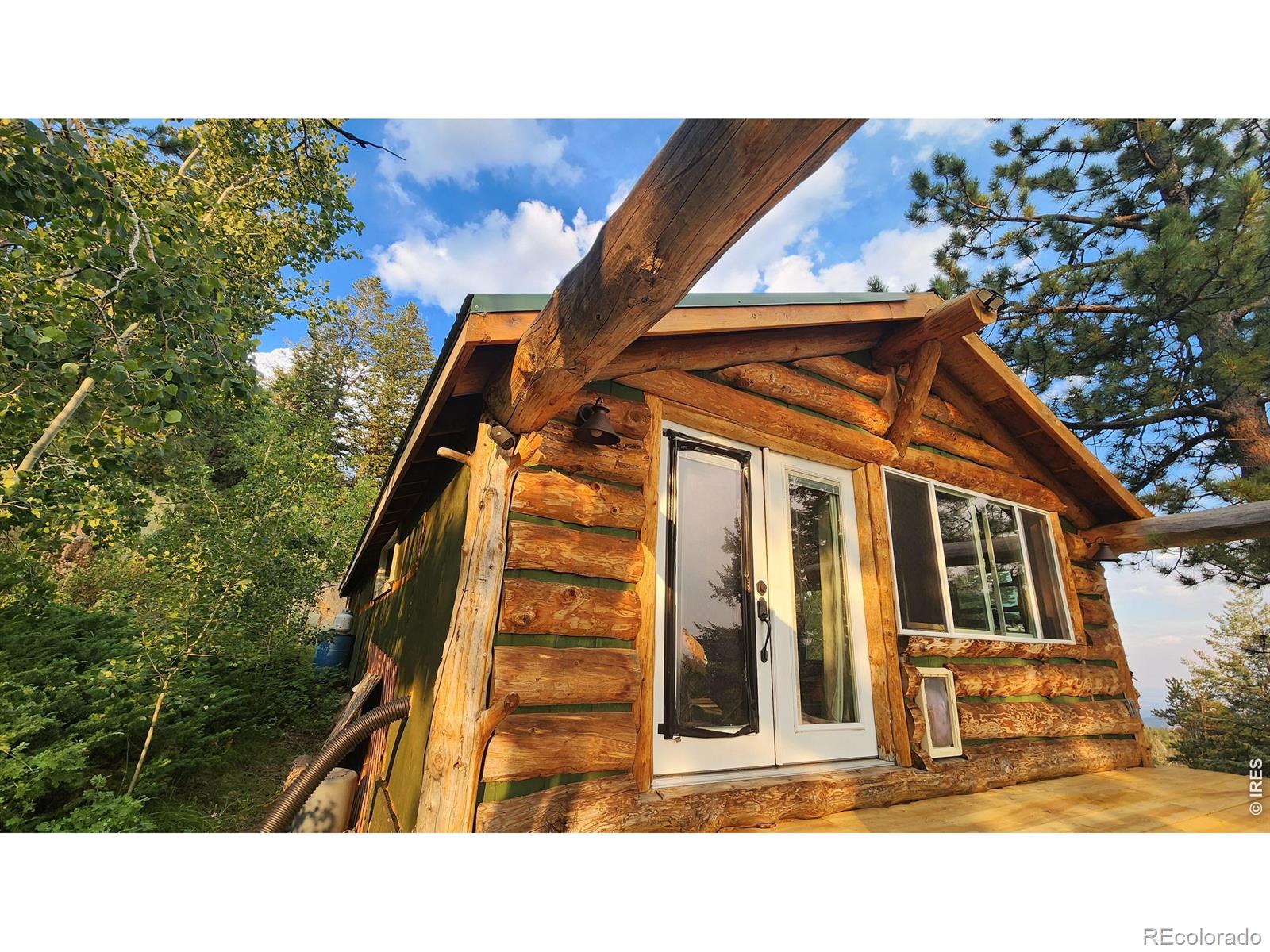 7026 Storm Mountain Drive Drake CO 80515