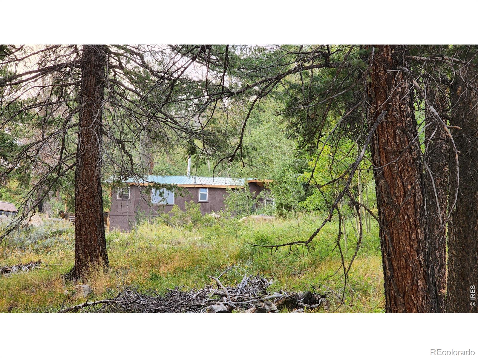 7026 Storm Mountain Drive Drake CO 80515