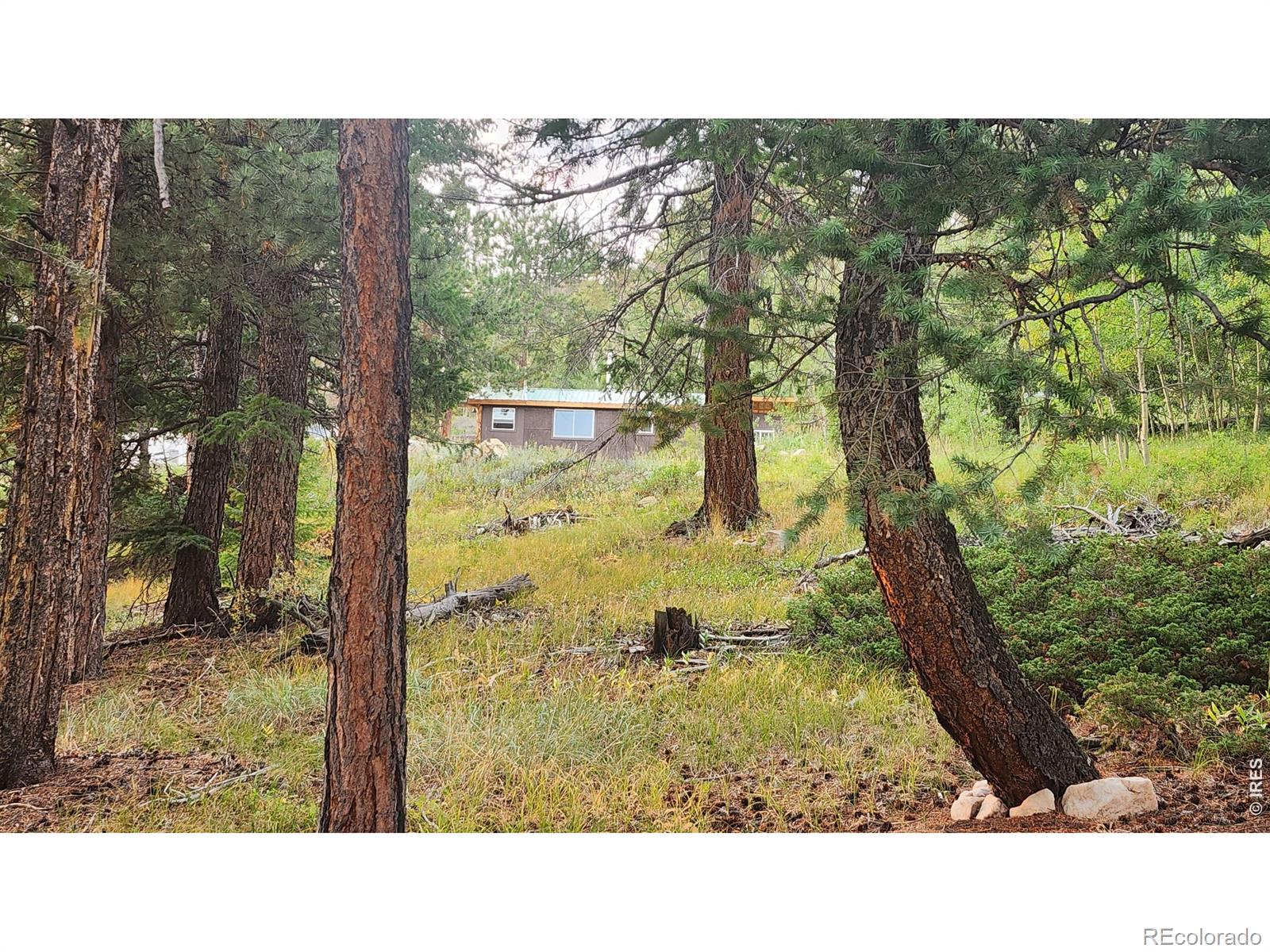 7026 Storm Mountain Drive Drake CO 80515