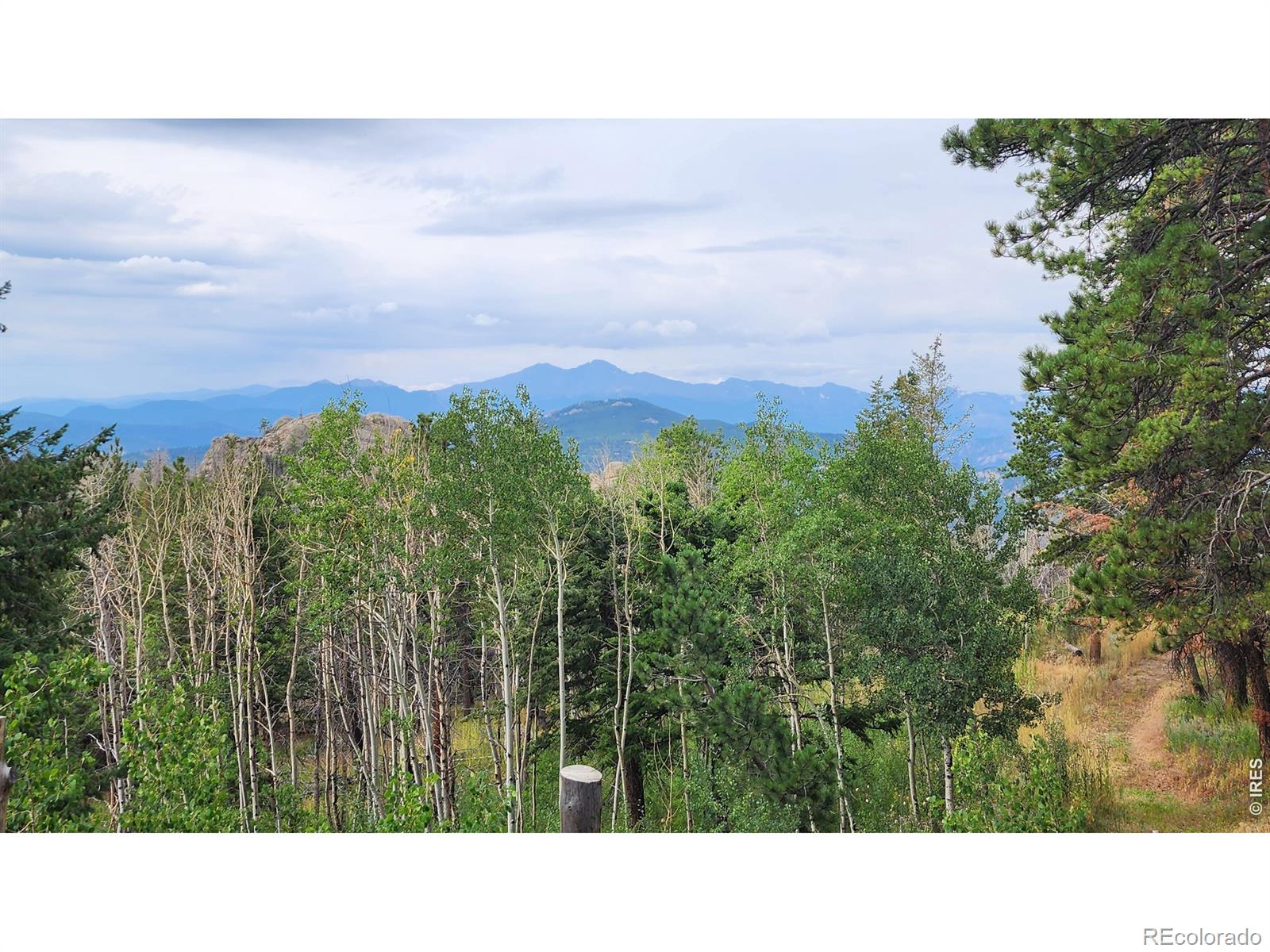 7026 Storm Mountain Drive Drake CO 80515