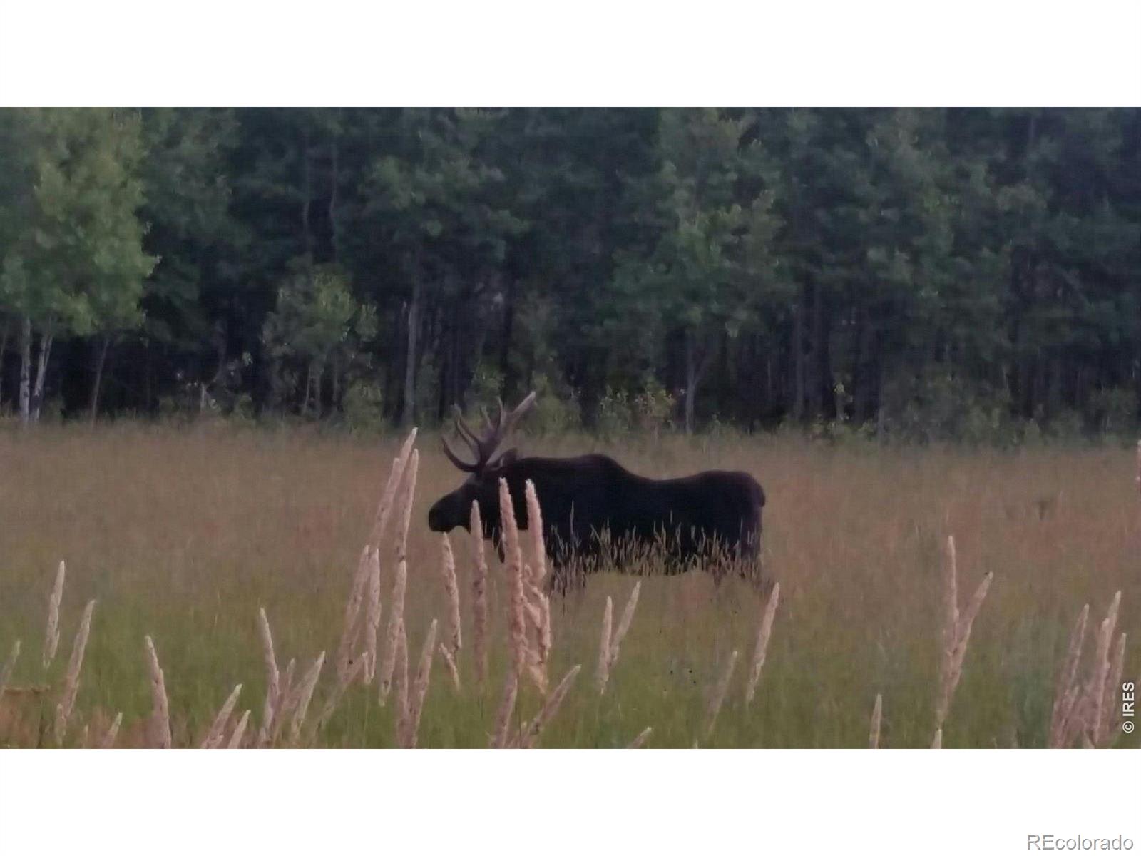 7026 Storm Mountain Drive Drake CO 80515