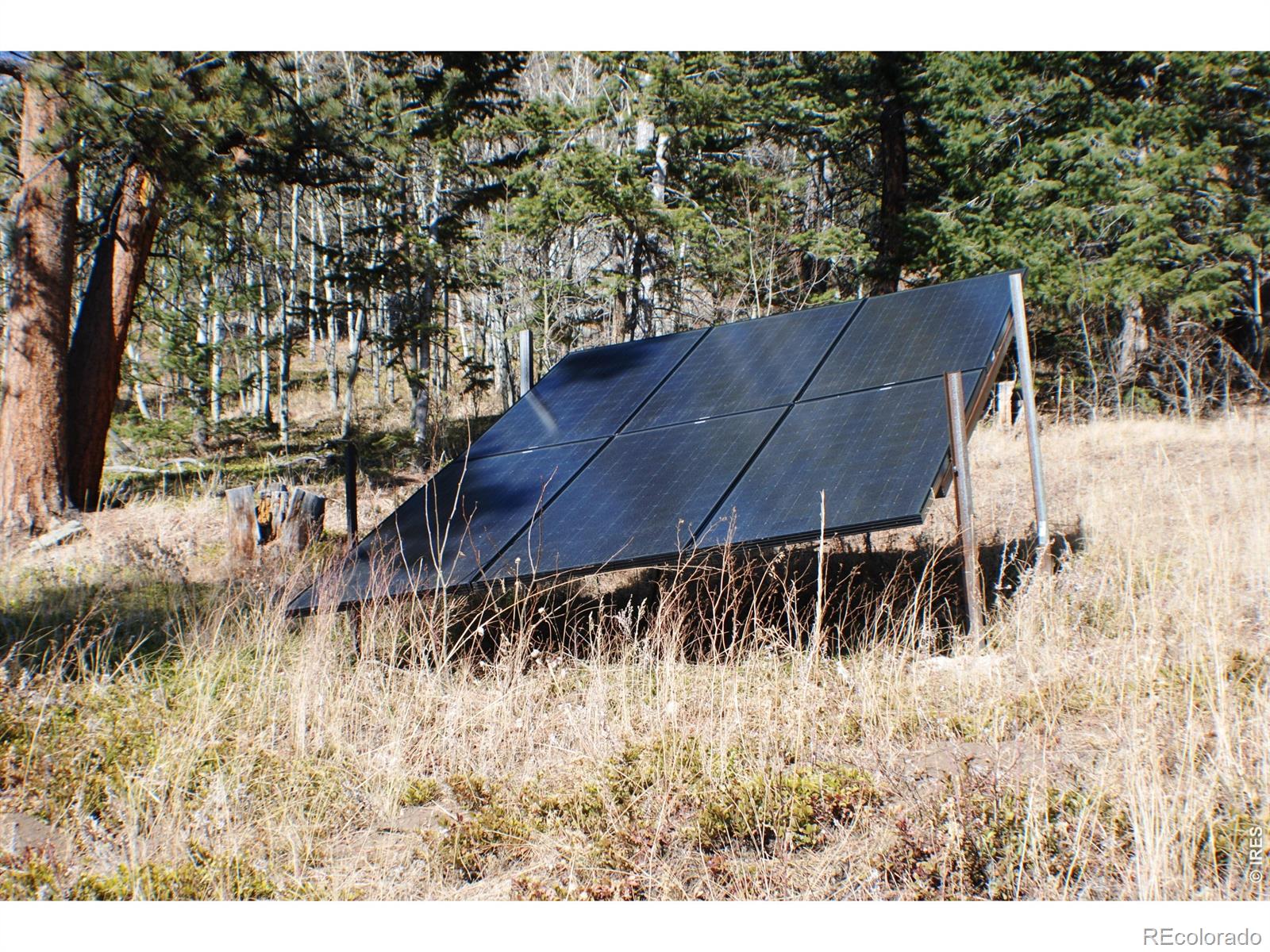 7026 Storm Mountain Drive Drake CO 80515
