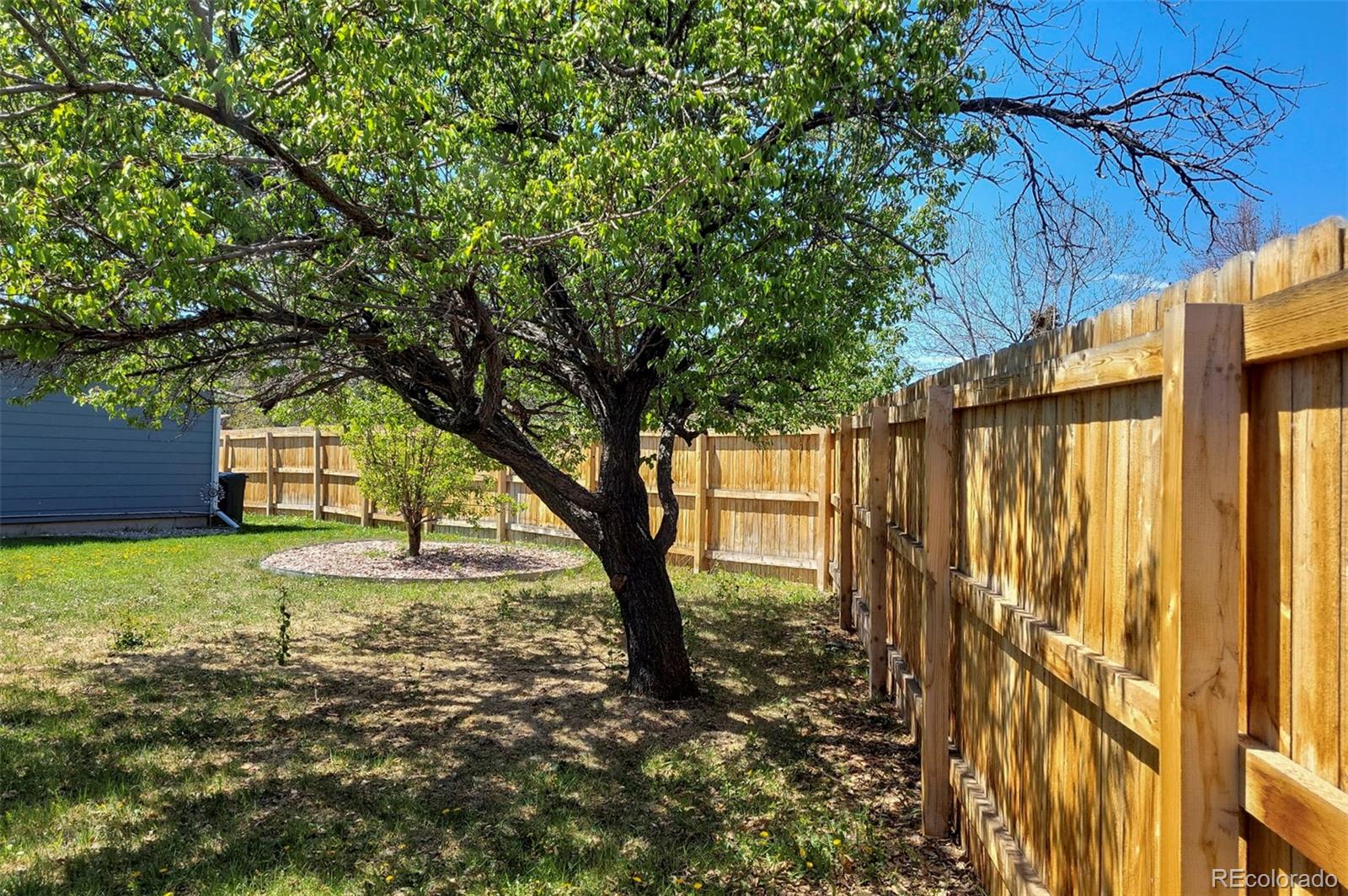 1089 S Johnson Way Lakewood CO 80226