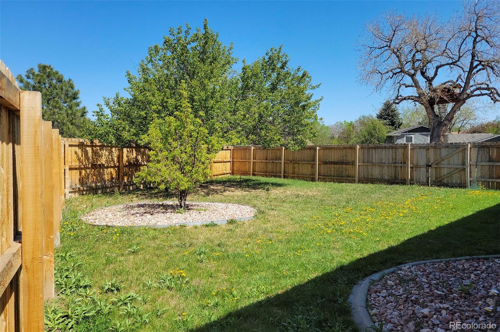 1089 S Johnson Way Lakewood CO 80226