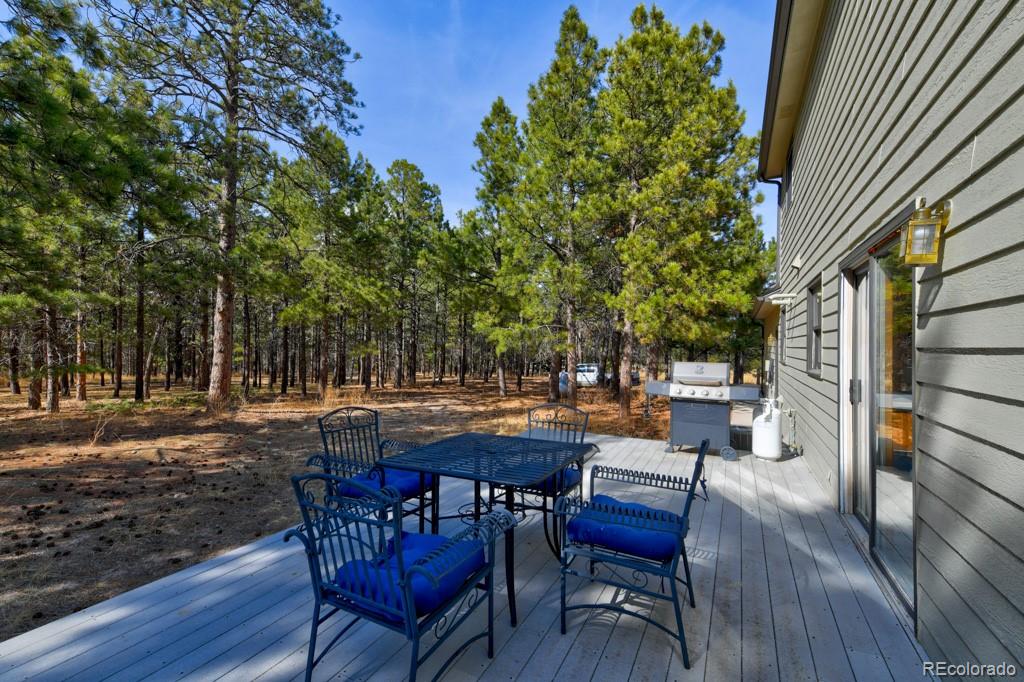 18673 N Elbert Road Elbert CO 80106