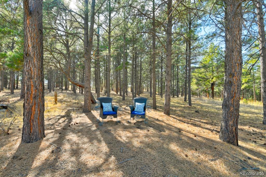 18673 N Elbert Road Elbert CO 80106