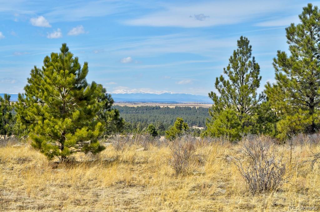 18673 N Elbert Road Elbert CO 80106