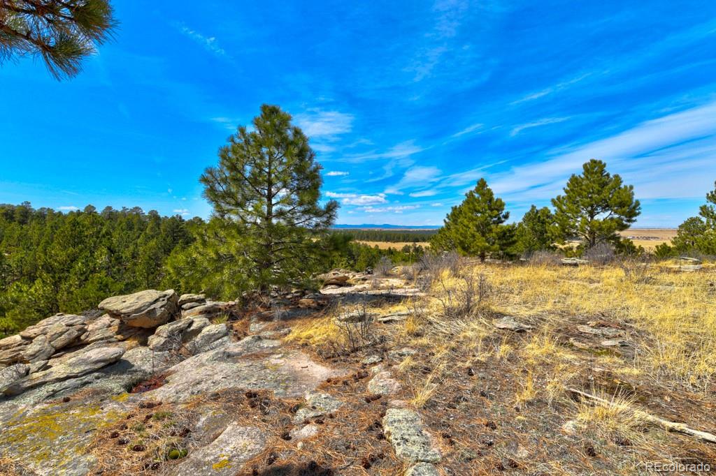 18673 N Elbert Road Elbert CO 80106