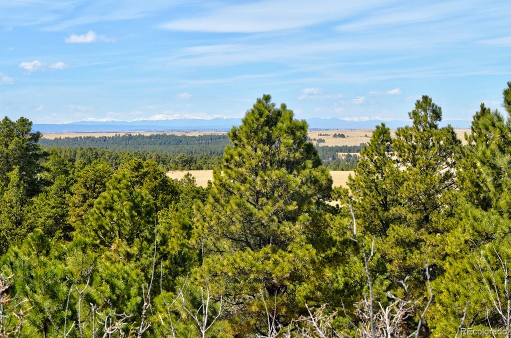 18673 N Elbert Road Elbert CO 80106