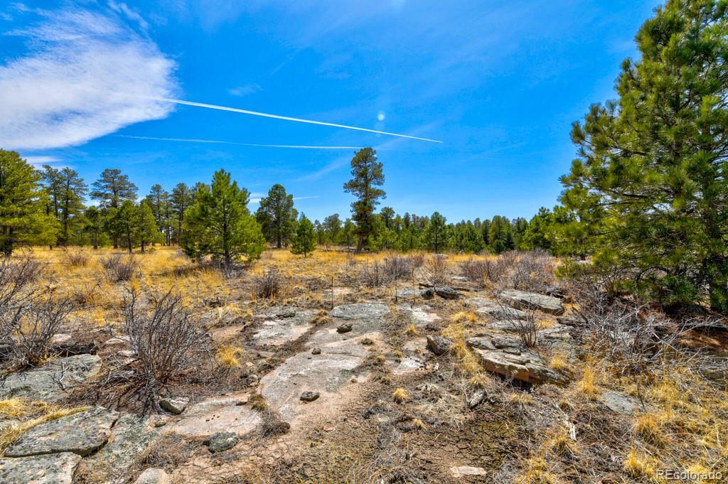 18673 N Elbert Road Elbert CO 80106